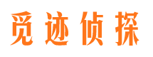 凌河市婚姻出轨调查